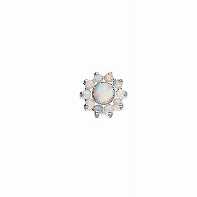 Opal Sunflower Top 10 Petals